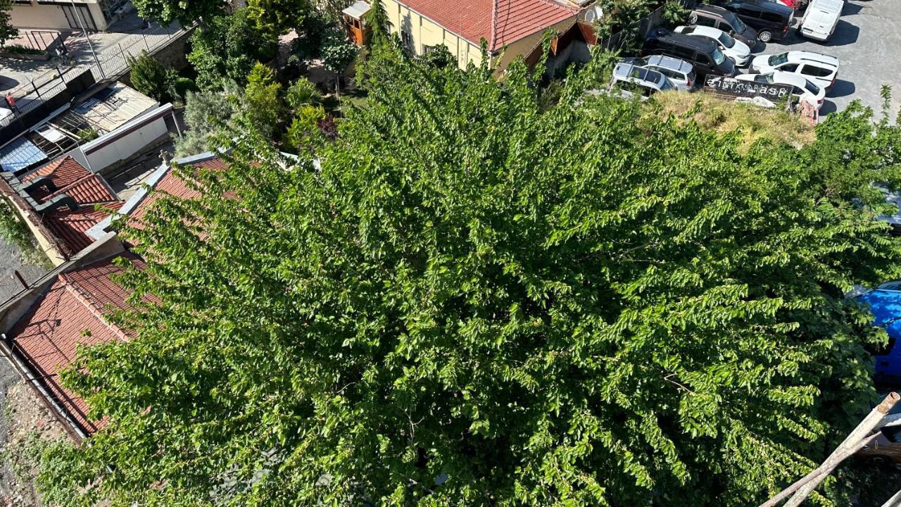 Mar Boutique Apartment Istanbul Eksteriør billede